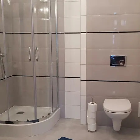 Homestay Apartament Wiki Leba